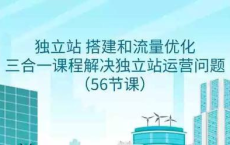 独立站搭建和流量优化三合一课程：解决独立站运营问题(56节课)