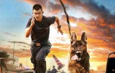 七小汪警犬队2023 蓝光4K：真实故事改编致敬城市的忠诚卫士！七小汪警犬队免费在线观看，七小汪警犬队 阿里云盘 免费下载