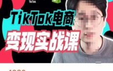 [阿里云盘+夸克网盘]TikTok电商学长Ethan-TIkTok电商变现实战课