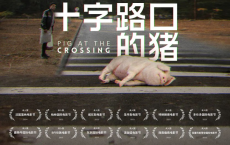 十字路口的猪 Pig at the Crossing (2024) 剧情 电影 豆瓣7.6[免费在线观看][免费下载][网盘资源][欧美影视]